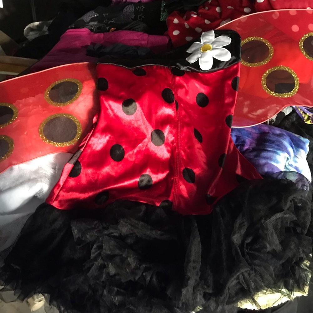 Sexy lady bug costume